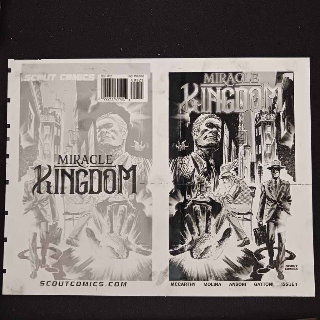 Miracle Kingdom #1 - 1:10 Retailer Incentive - Cover - Black - Comic Printer Plate - PRESSWORKS