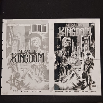 Miracle Kingdom #1 - 1:10 Retailer Incentive - Cover - Black - Comic Printer Plate - PRESSWORKS