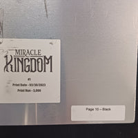 Miracle Kingdom #1 - Page 10 - PRESSWORKS - Comic Art - Printer Plate - Black
