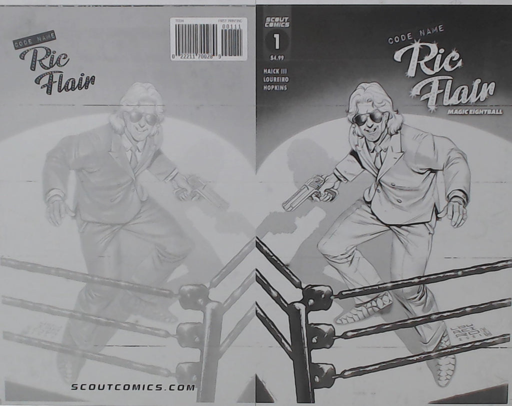 Codename Ric Flair: Magic Eightball #1 - Cover - Black - Comic Printer ...
