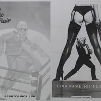 Codename Ric Flair: Magic Eightball #1 - 1:50 Retailer Incentive - Dave Dorman - Cover - Black - Comic Printer Plate - PRESSWORKS