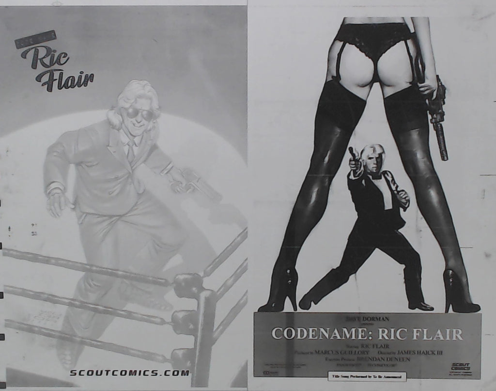 Codename Ric Flair: Magic Eightball #1 - 1:50 Retailer Incentive - Dave Dorman - Cover - Black - Comic Printer Plate - PRESSWORKS