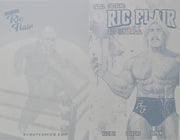 Codename Ric Flair: Magic Eightball #1 - Tyler Kirkham Variant - Cover - Cyan - Comic Printer Plate - PRESSWORKS