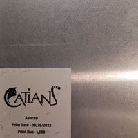 Catians Ashcan Preview - Page 3 - PRESSWORKS - Comic Art - Printer Plate - Magenta