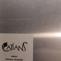 Catians Ashcan Preview - Page 4 - PRESSWORKS - Comic Art - Printer Plate - Cyan