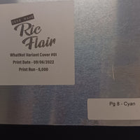 Codename Ric Flair #1 - NYCC - Page 8 - PRESSWORKS - Comic Art - Printer Plate - Cyan