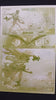 Snow White Zombie Apocalypse #1 - Page 14 - Yellow - Comic Printer Plate - PRESSWORKS